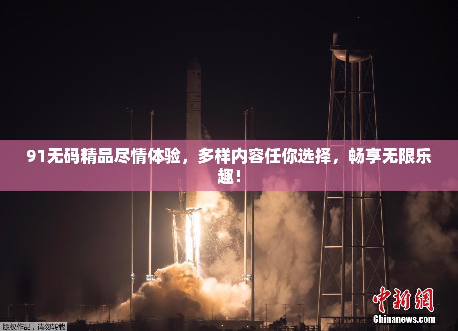 91无码精品尽情体验，多样内容任你选择，畅享无限乐趣！