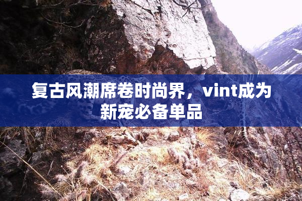 复古风潮席卷时尚界，vint成为新宠必备单品