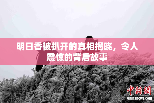 明日香被扒开的真相揭晓，令人震惊的背后故事