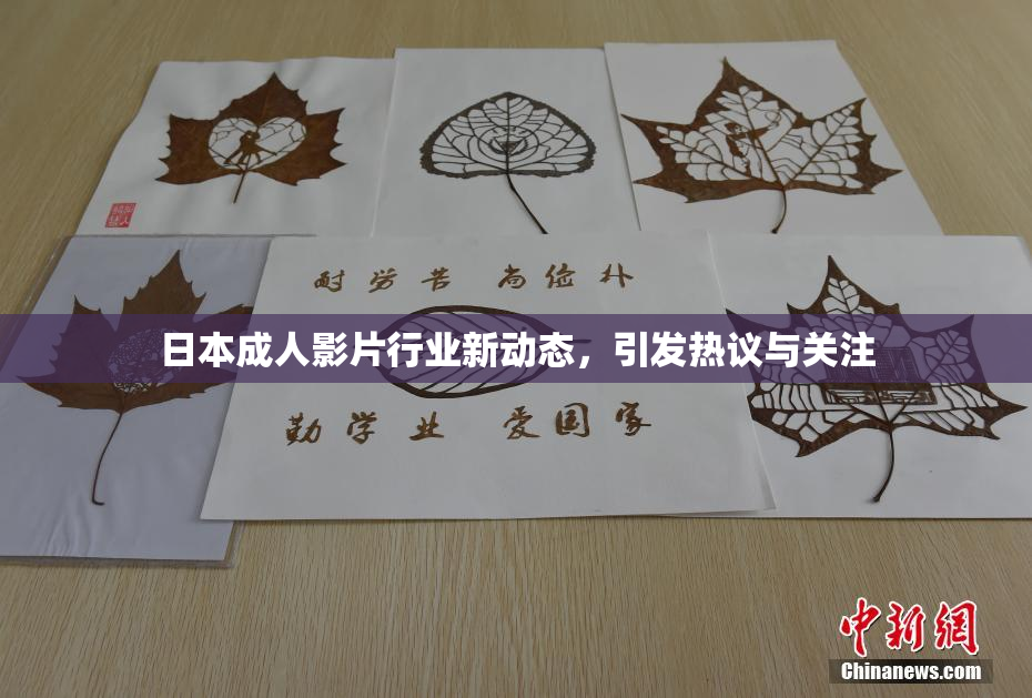 日本成人影片行业新动态，引发热议与关注