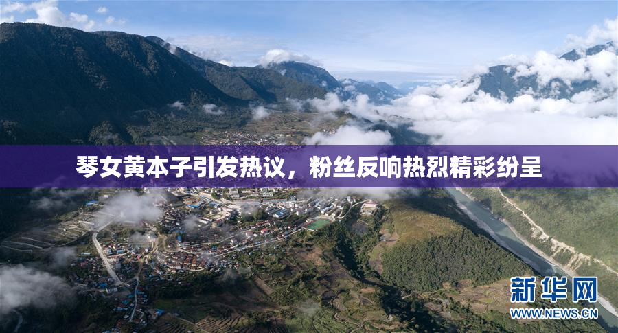 琴女黄本子引发热议，粉丝反响热烈精彩纷呈
