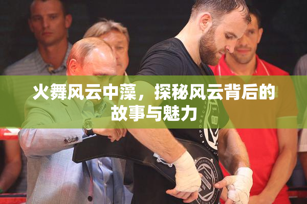火舞风云中藻，探秘风云背后的故事与魅力