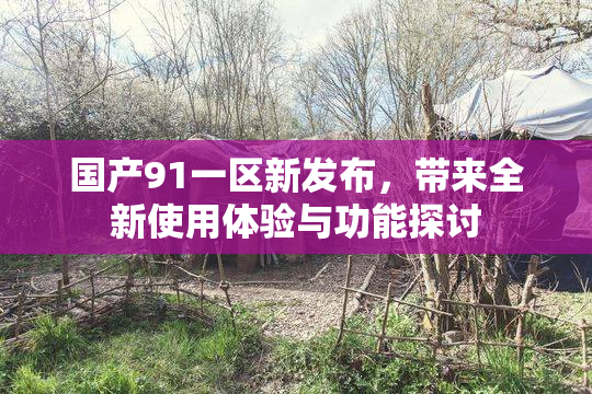 国产91一区新发布，带来全新使用体验与功能探讨