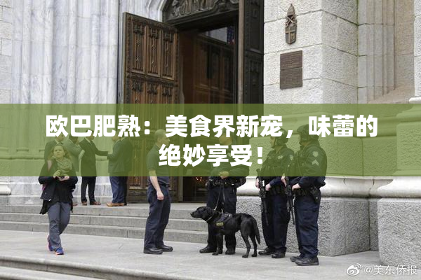欧巴肥熟：美食界新宠，味蕾的绝妙享受！