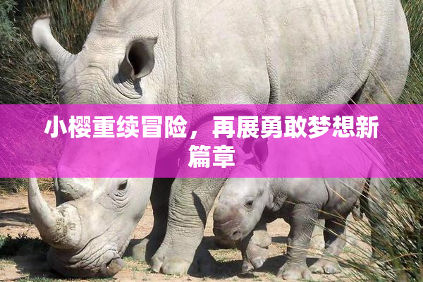 小樱重续冒险，再展勇敢梦想新篇章