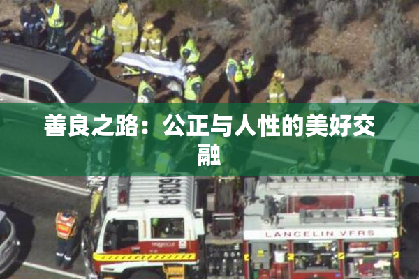 善良之路：公正与人性的美好交融