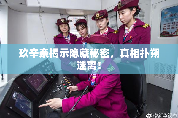 玖辛奈揭示隐藏秘密，真相扑朔迷离！
