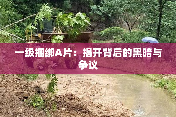 一级捆绑A片：揭开背后的黑暗与争议