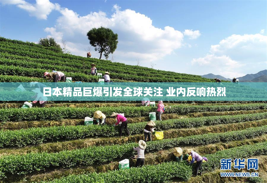 日本精品巨爆引发全球关注 业内反响热烈