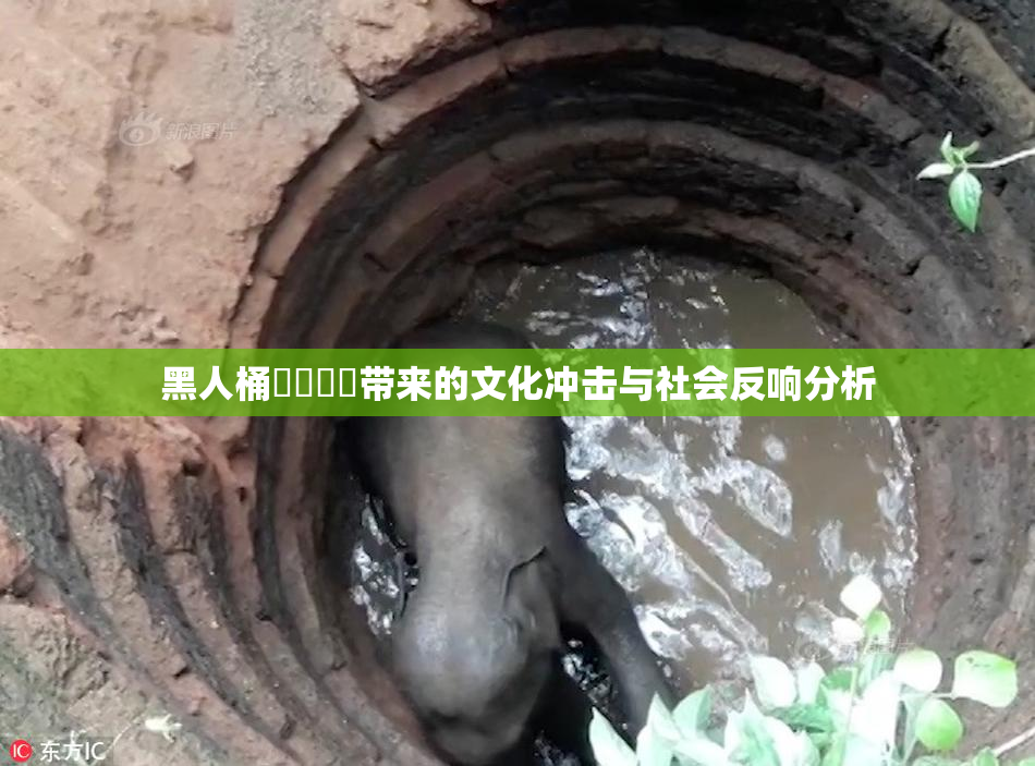 黑人桶❌‌❌‌带来的文化冲击与社会反响分析