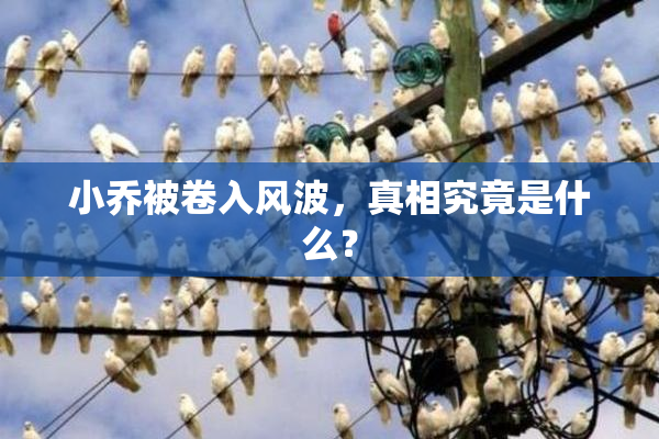 小乔被卷入风波，真相究竟是什么？