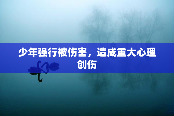 少年强行被伤害，造成重大心理创伤
