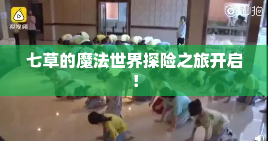 七草的魔法世界探险之旅开启！
