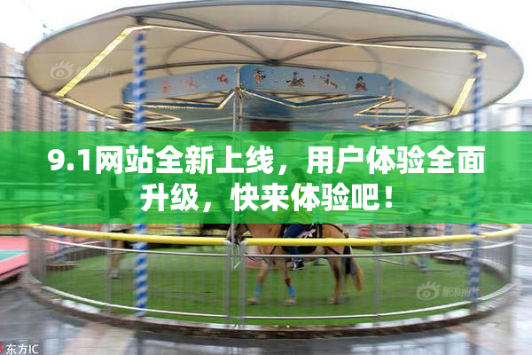 9.1网站全新上线，用户体验全面升级，快来体验吧！