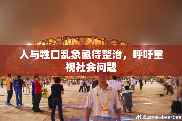 人与牲口乱象亟待整治，呼吁重视社会问题