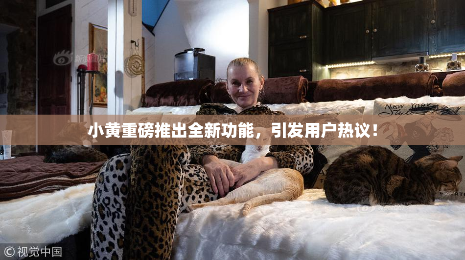 小黄重磅推出全新功能，引发用户热议！