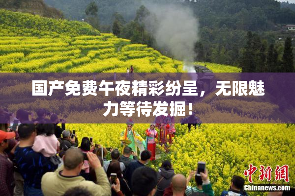 国产免费午夜精彩纷呈，无限魅力等待发掘！