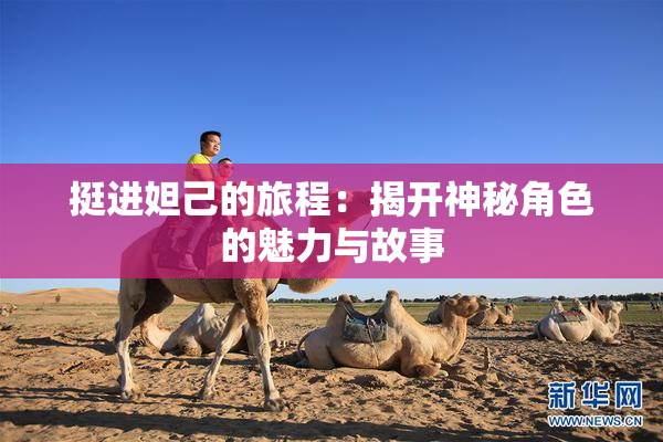 挺进妲己的旅程：揭开神秘角色的魅力与故事
