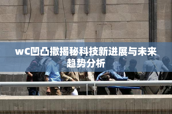 wC凹凸撒揭秘科技新进展与未来趋势分析