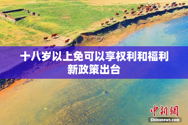 十八岁以上免可以享权利和福利新政策出台