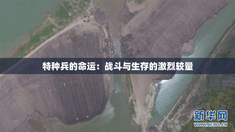 特种兵的命运：战斗与生存的激烈较量