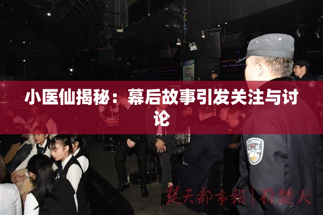 小医仙揭秘：幕后故事引发关注与讨论