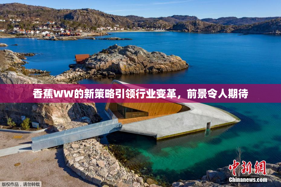 香蕉WW的新策略引领行业变革，前景令人期待