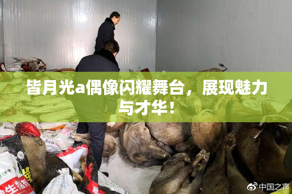 皆月光a偶像闪耀舞台，展现魅力与才华！