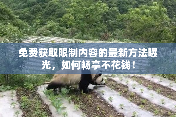 免费获取限制内容的最新方法曝光，如何畅享不花钱！