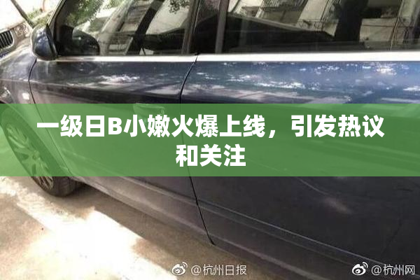 一级日B小嫩火爆上线，引发热议和关注