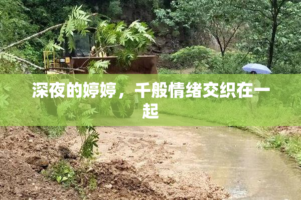 深夜的婷婷，千般情绪交织在一起