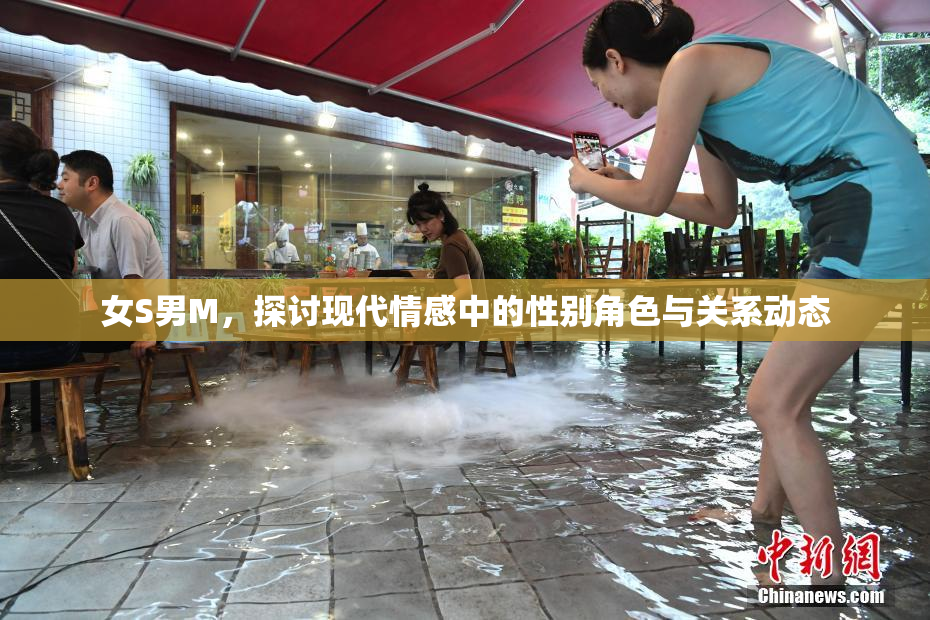 女S男M，探讨现代情感中的性别角色与关系动态