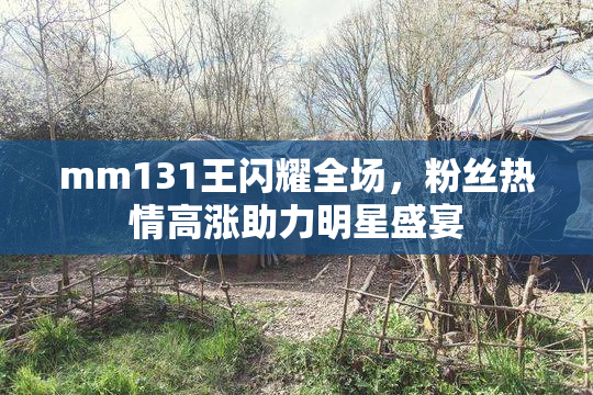 mm131王闪耀全场，粉丝热情高涨助力明星盛宴