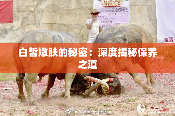 白皙嫩肤的秘密：深度揭秘保养之道