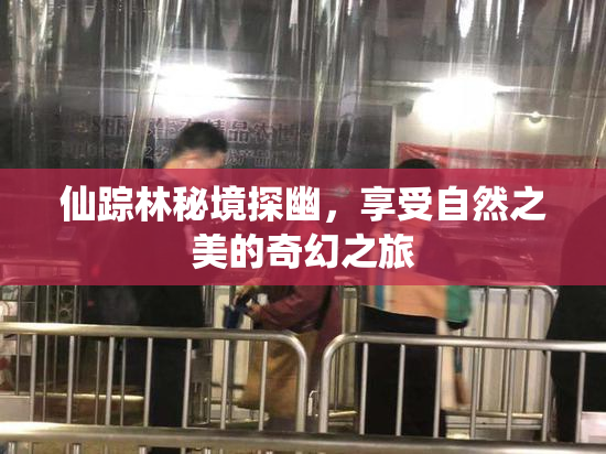 仙踪林秘境探幽，享受自然之美的奇幻之旅