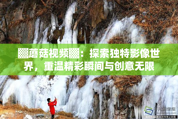 ▓蘑菇视频▓：探索独特影像世界，重温精彩瞬间与创意无限