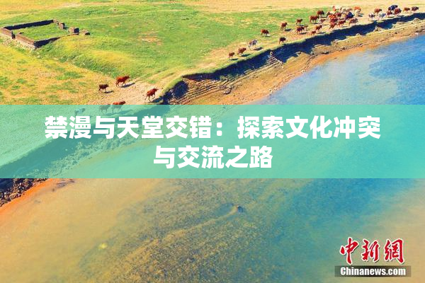 禁漫与天堂交错：探索文化冲突与交流之路