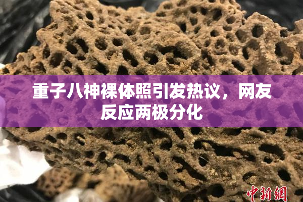 重子八神裸体照引发热议，网友反应两极分化