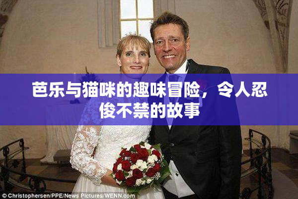 芭乐与猫咪的趣味冒险，令人忍俊不禁的故事