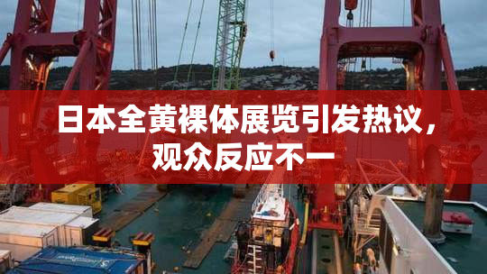 日本全黄裸体展览引发热议，观众反应不一
