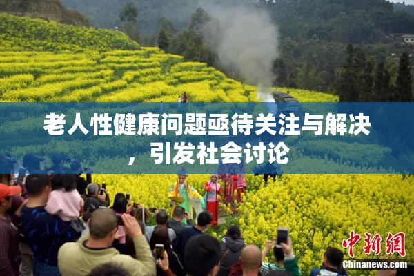 老人性健康问题亟待关注与解决，引发社会讨论
