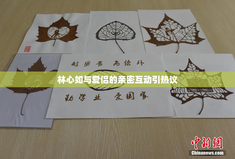 林心如与爱侣的亲密互动引热议