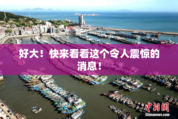 好大！快来看看这个令人震惊的消息！
