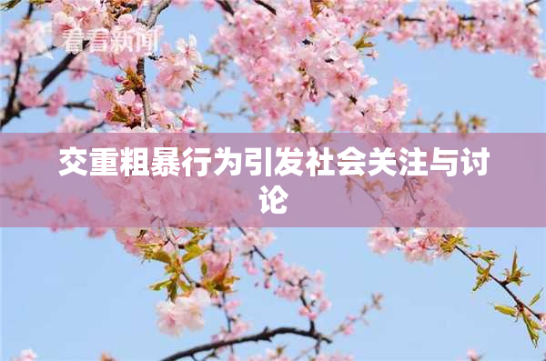 交重粗暴行为引发社会关注与讨论