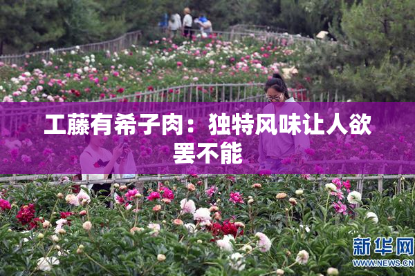 工藤有希子肉：独特风味让人欲罢不能