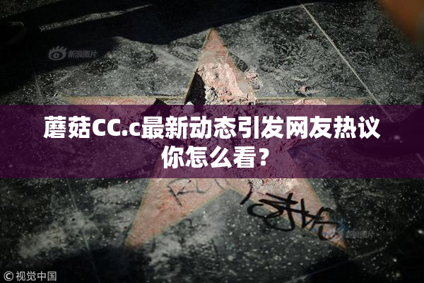 蘑菇CC.c最新动态引发网友热议 你怎么看？
