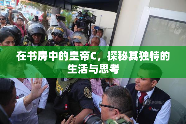 在书房中的皇帝C，探秘其独特的生活与思考