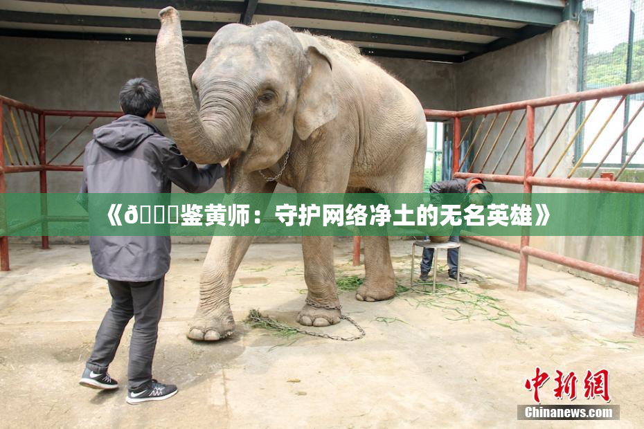 《🔞鉴黄师：守护网络净土的无名英雄》
