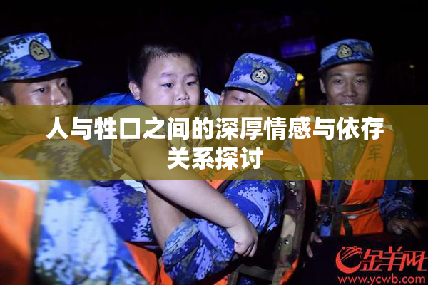 人与牲口之间的深厚情感与依存关系探讨