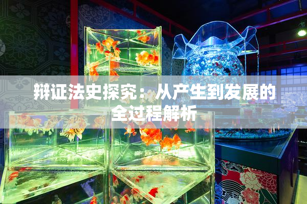 辩证法史探究：从产生到发展的全过程解析